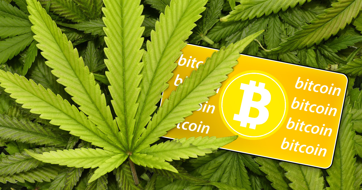 cannabis science cryptocurrency