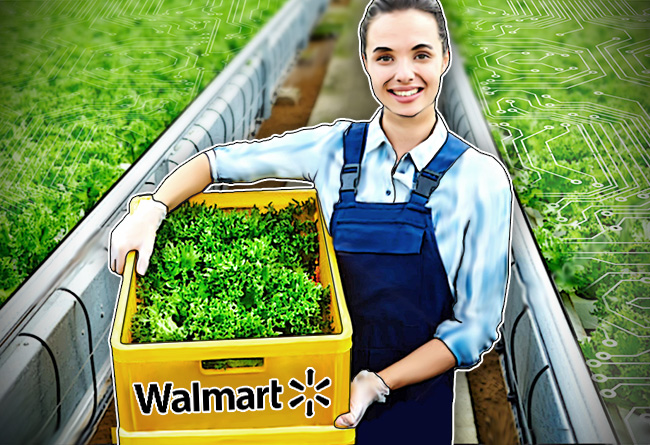 walmart blockchain lettuce