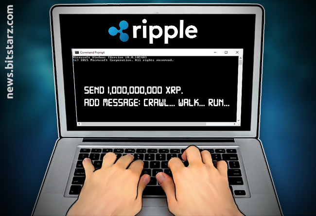Will Xrp Reach $1000 / Is Ripple Xrp Expected To Reach 100 ...