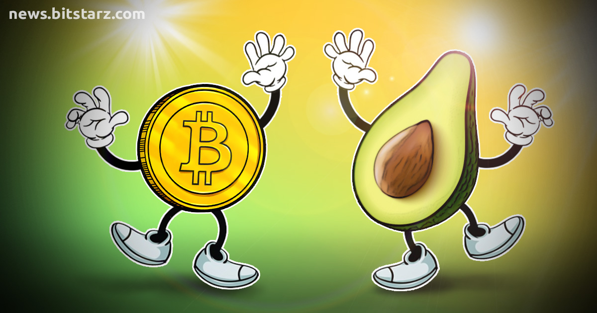 avocado crypto price