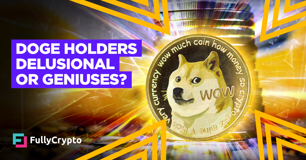 DOGE Buyers Delusional Bagholders or Future Millionaires?