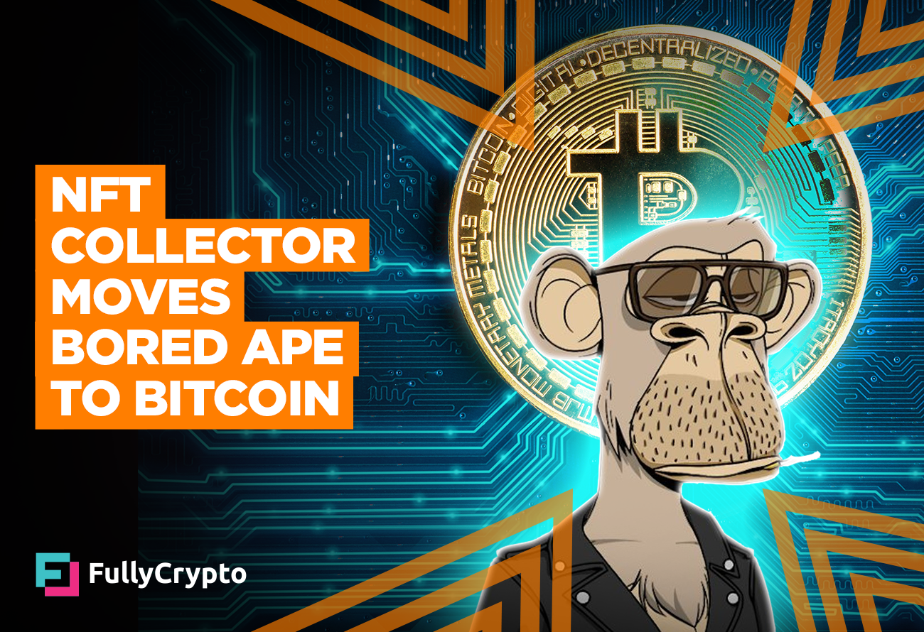 ape crypto meaning