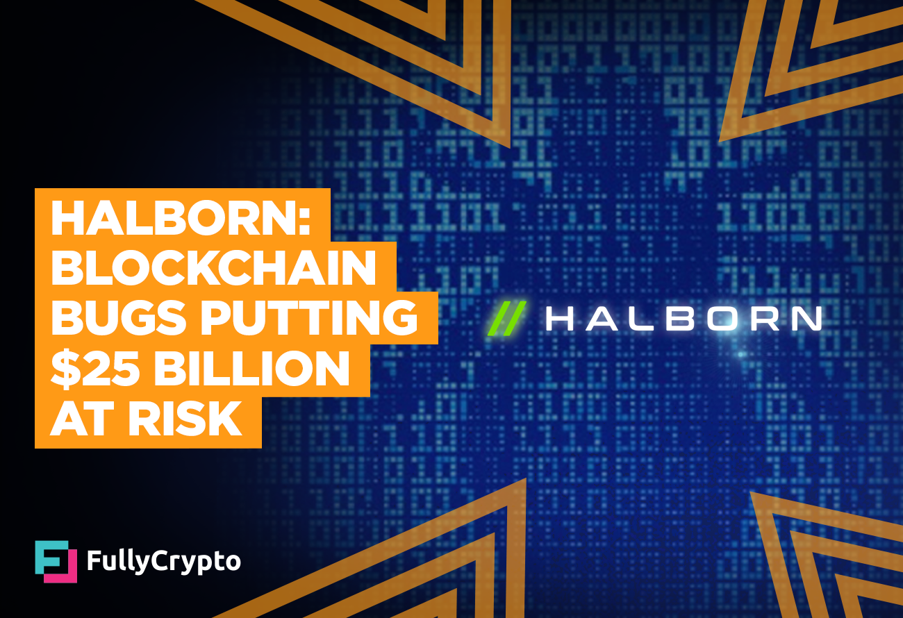 Halborn--Blockchain-Bugs-Placing-$25-Billion-at-Chance