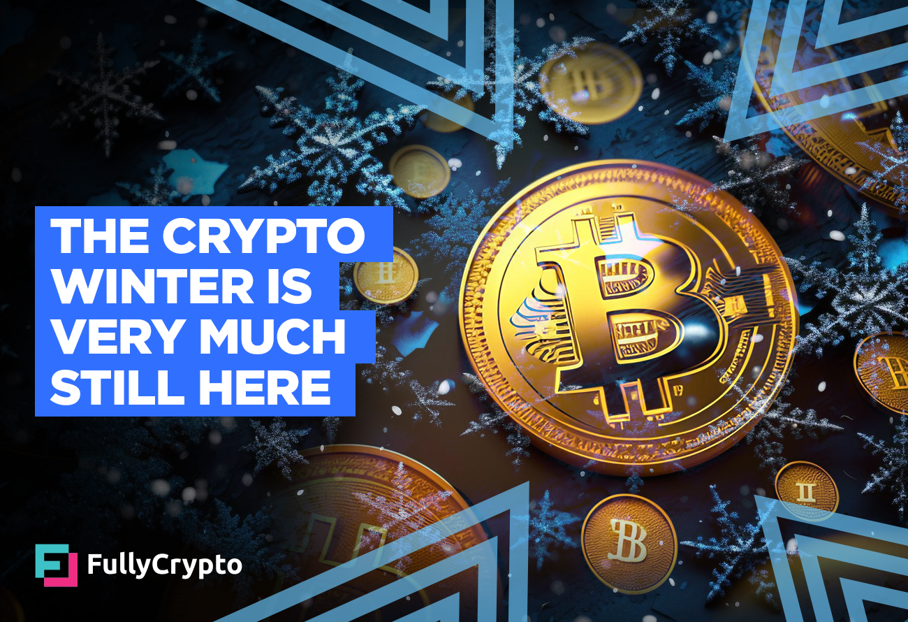 The Crypto Winter is Very Much Still Here